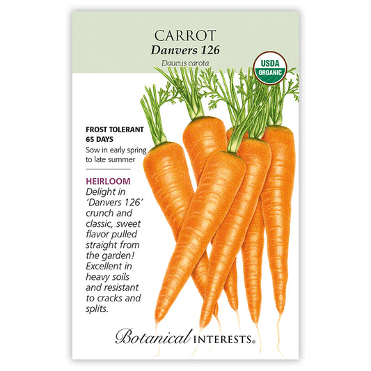 Carrot Danvers Organic