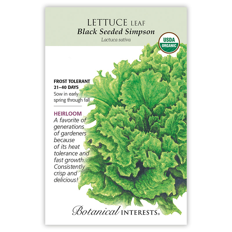 Lettuce Leaf Black Sd Simpson Organic