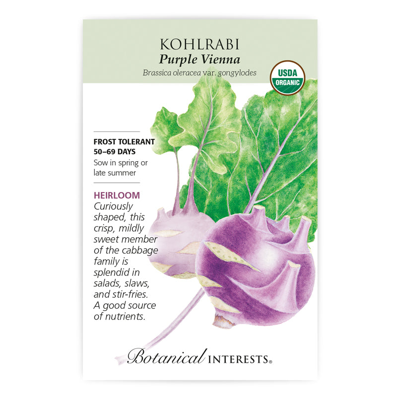 Kohlrabi Purple Vienna Organic