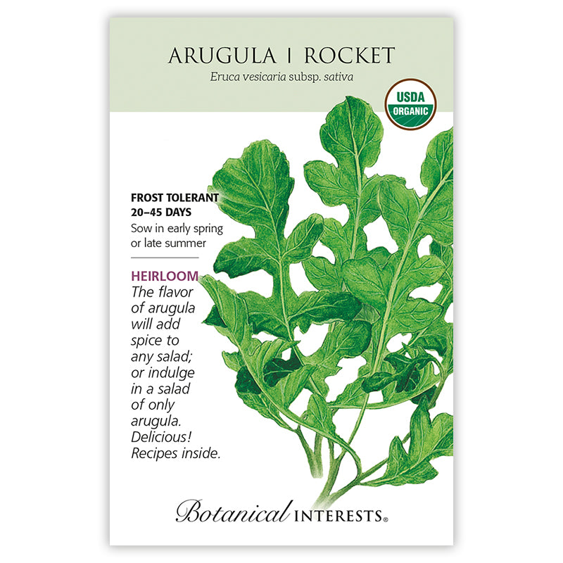 Arugula Rocket Organic