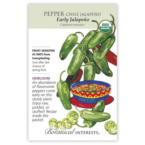 Pepper Chile Jalapeno Early Organic