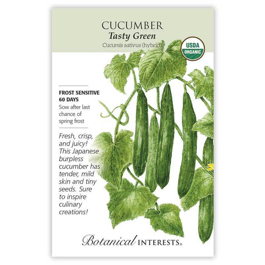 Cucumber Tasty Green Organic