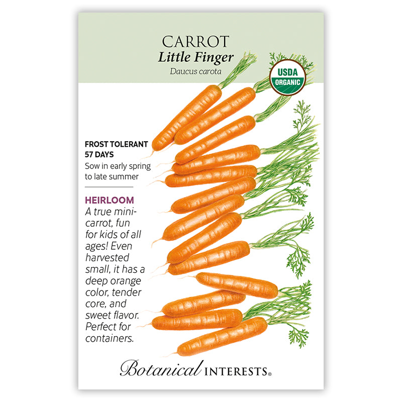 Carrot Little Finger Org