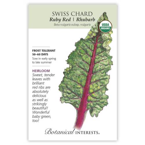 Swiss Chard Ruby Red Organic