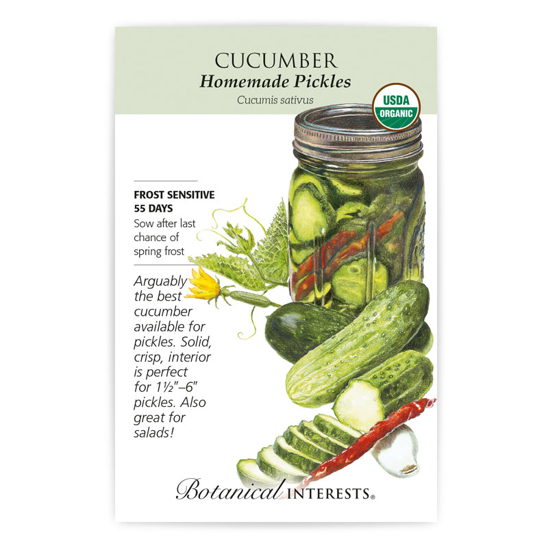 Cucumber Homemade Pickles Org