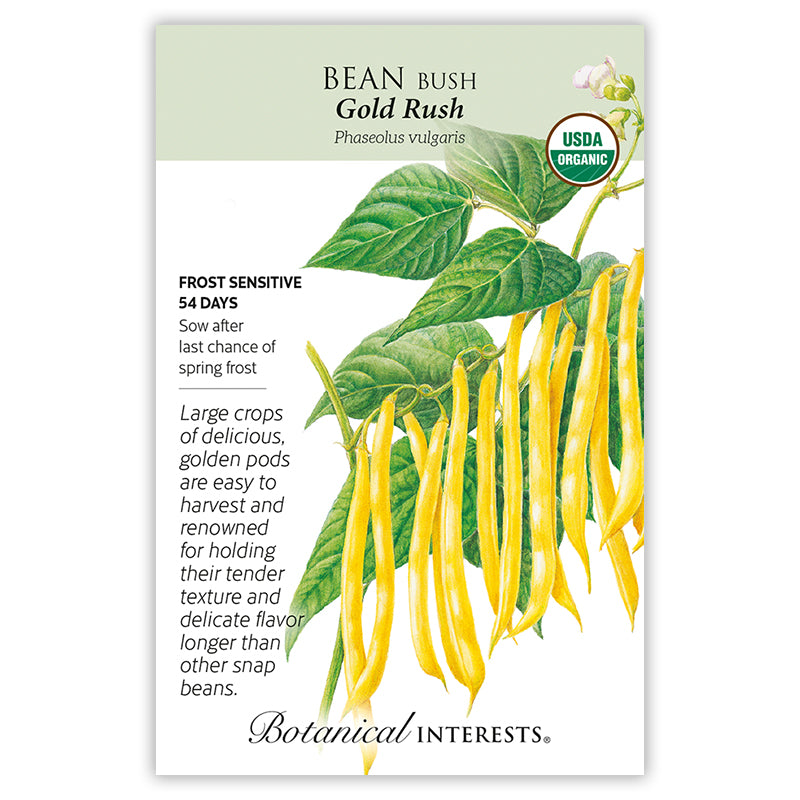 Bean Bush (yellow) Gold Rush Org