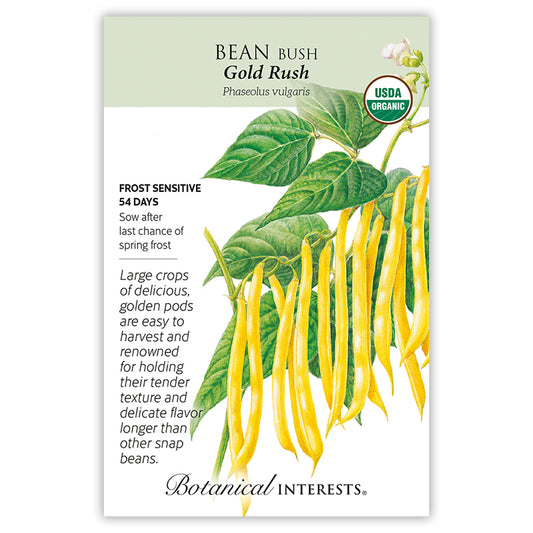 Bean Bush (yellow) Gold Rush Org