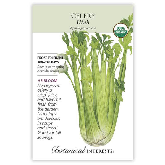 Celery Utah Organic