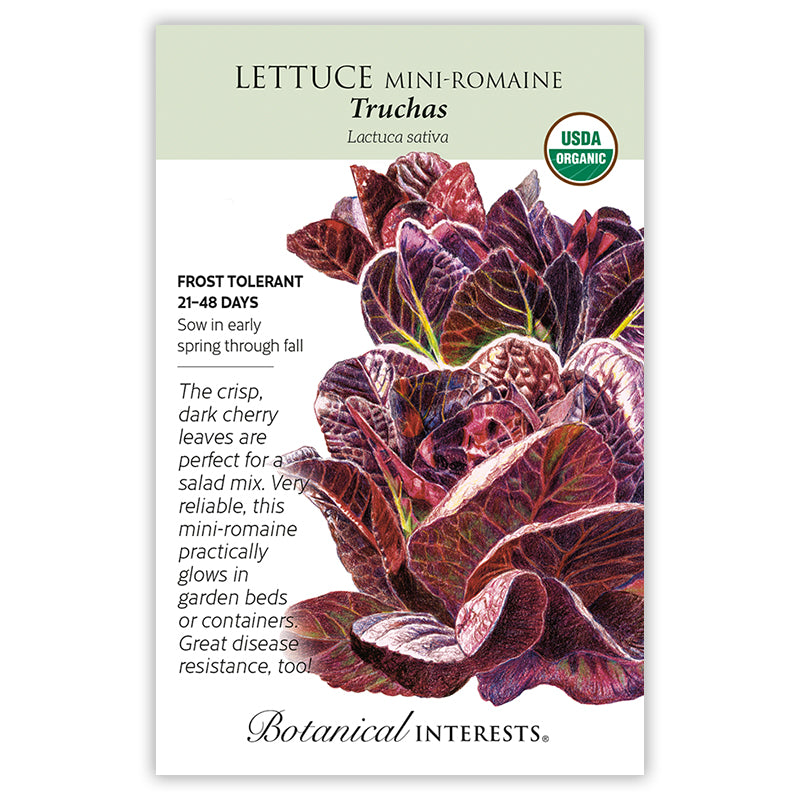 Lettuce Romaine Little Gem Red Org