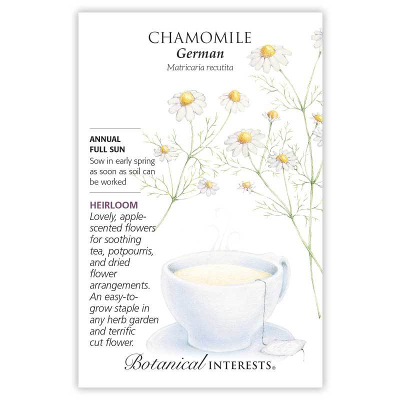 Chamomile German