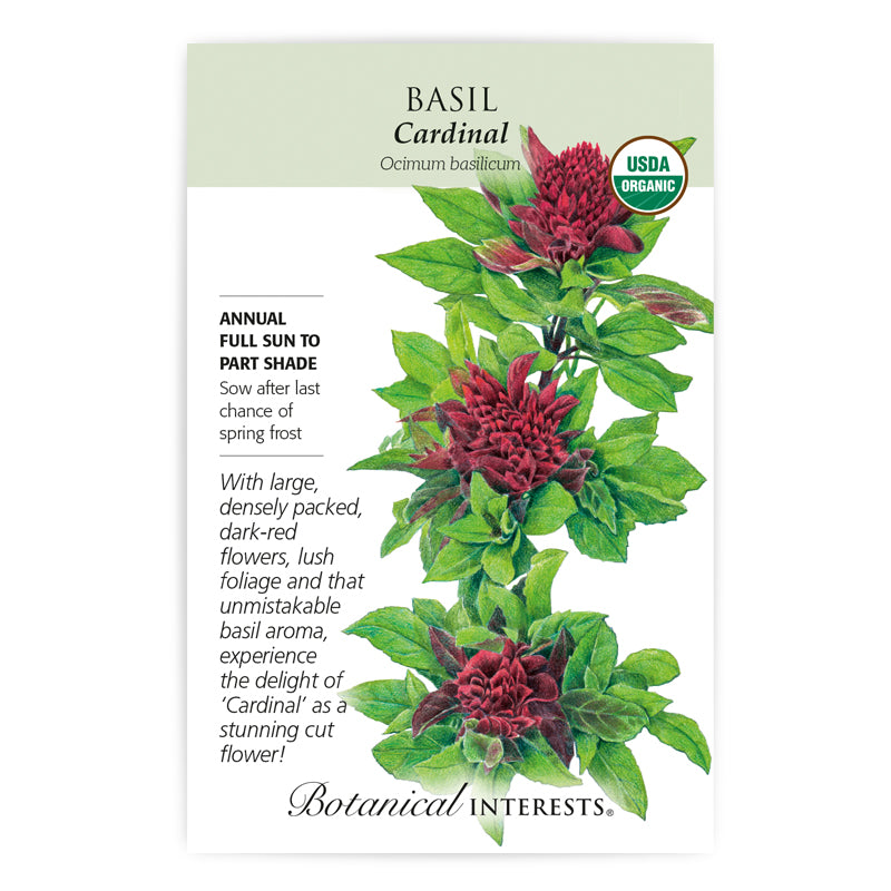 Basil Cardinal Organic
