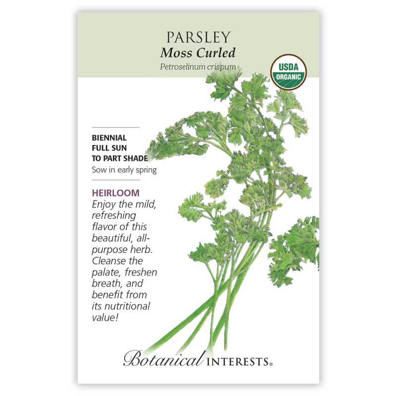 Parsley Moss Curled Organic
