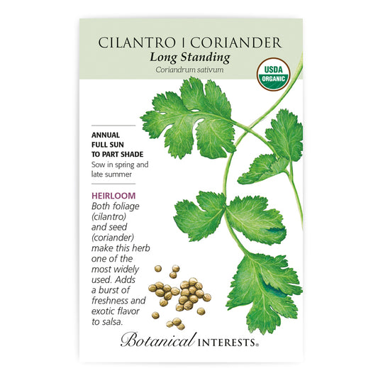 Cilantro/ Coriander Organic