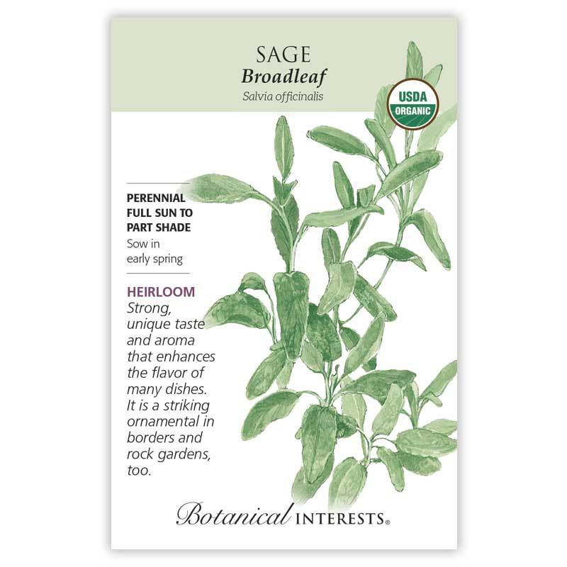 Sage Broadleaf Organic