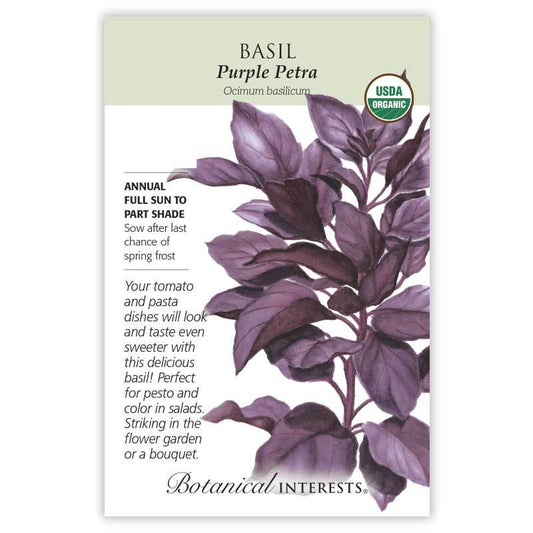 Basil Purple Petra Organic