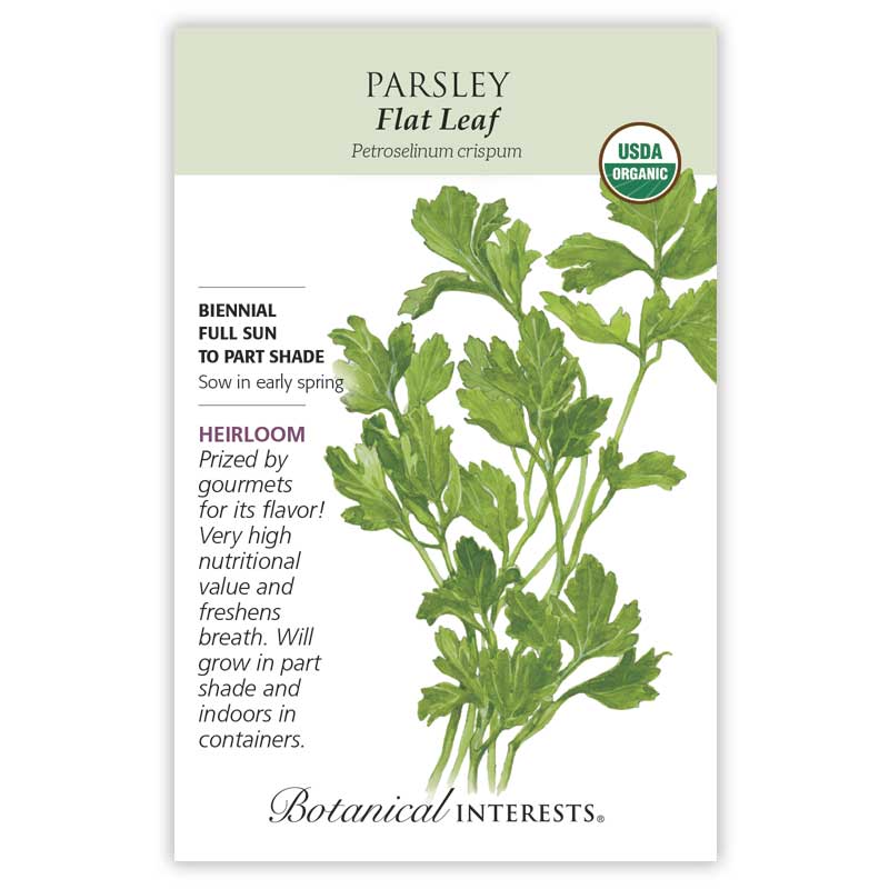 Parsley Flat Leaf Organic