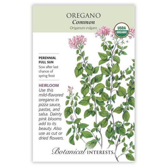 Oregano Common Organic