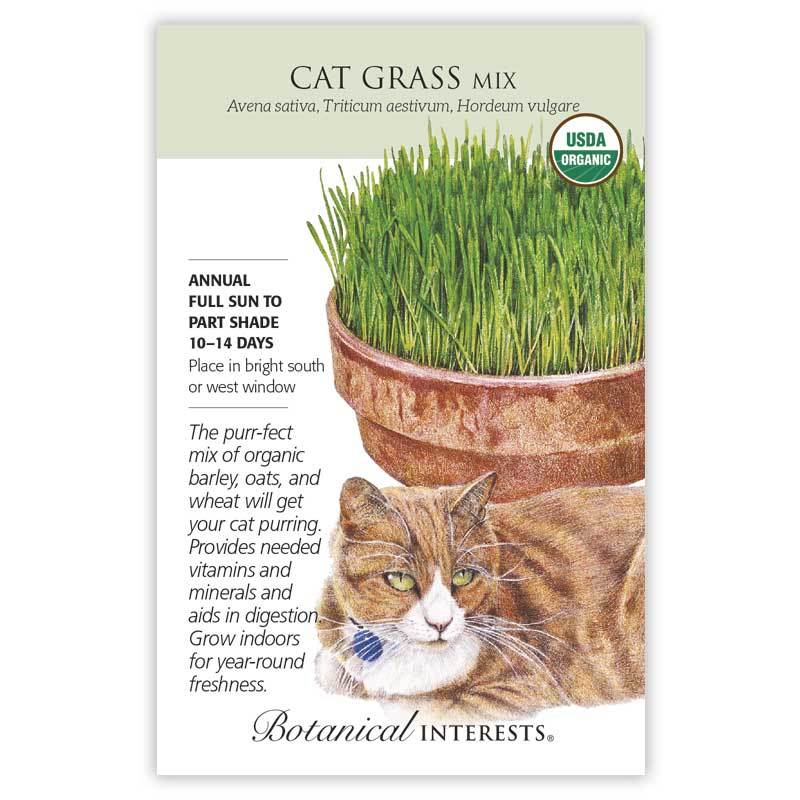 Cat Grass Mix Organic