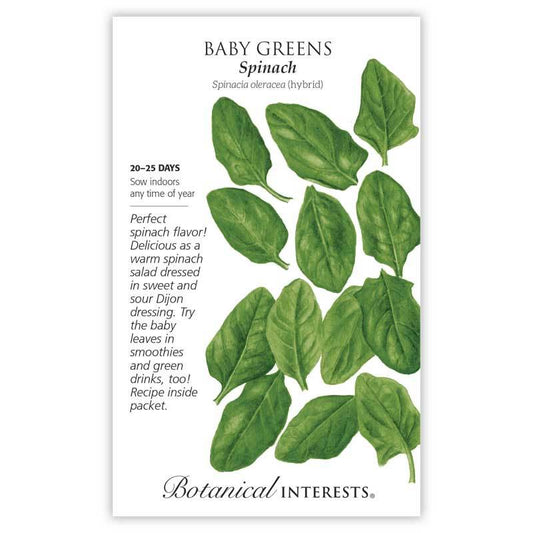 Baby Greens Spinach