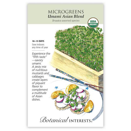 Microgreens Umami Asian Blnd Organic