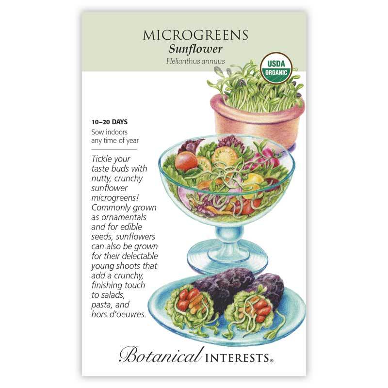 Microgreens Sunflower Organic
