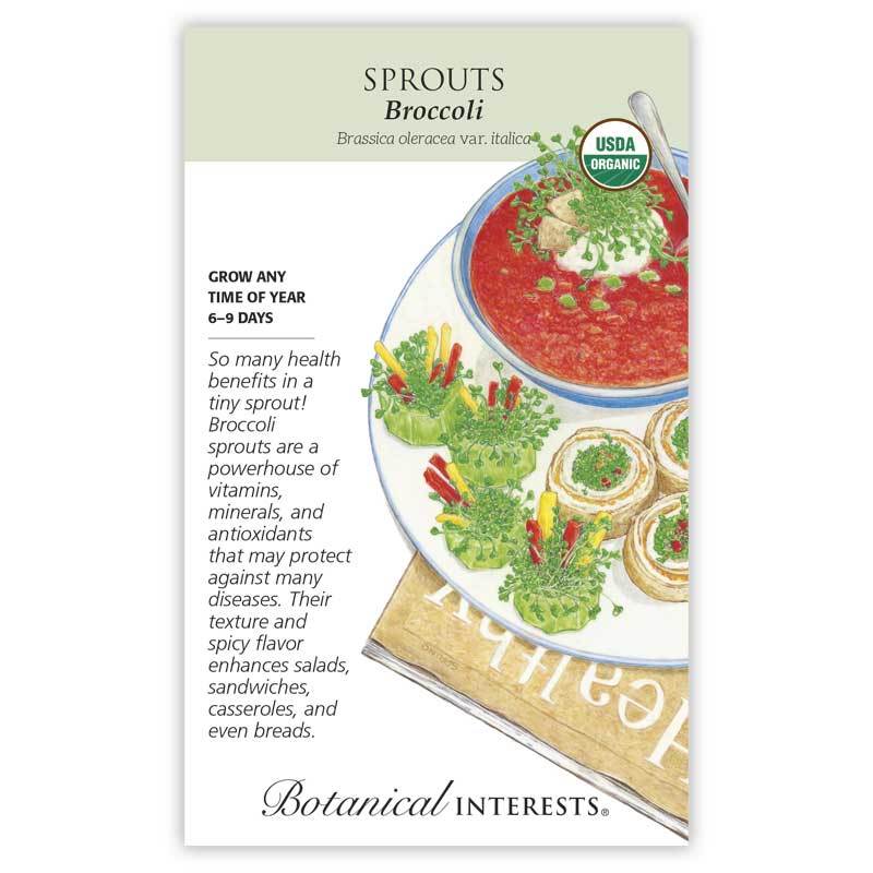 Sprouts Broccoli Organic