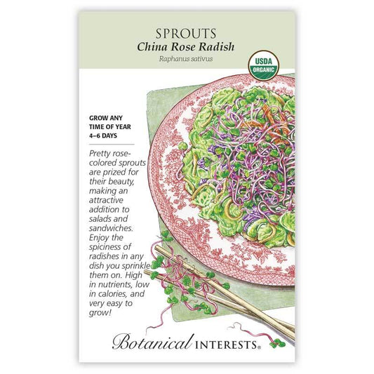 Sprouts Radish China Rose Organic