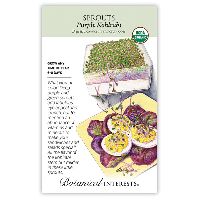 Sprouts Purple Kohlrabi Org