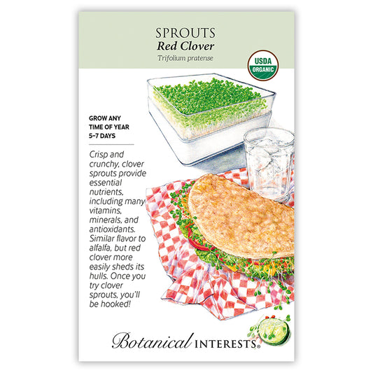 Sprouts Red Clover Org